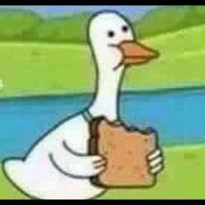 Meet your Posher, Ben